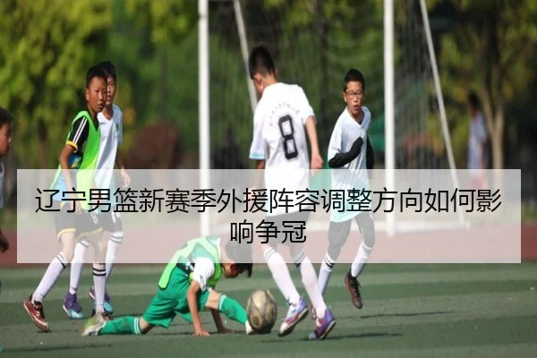 辽宁男篮新赛季外援阵容调整方向如何影响争冠